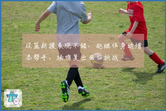 辽篮新援表现不错，赵继伟身边增添帮手，杨鸣复出面临挑战