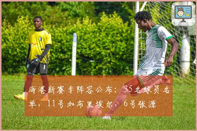 海港新赛季阵容公布：35名球员名单，11号加布里埃尔，6号张源