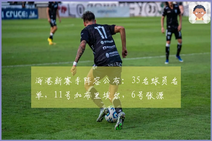 海港新赛季阵容公布：35名球员名单，11号加布里埃尔，6号张源