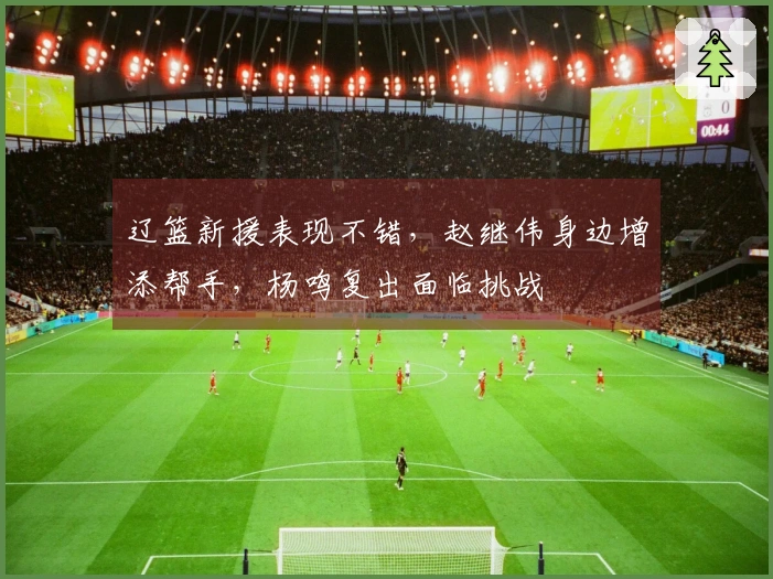 辽篮新援表现不错，赵继伟身边增添帮手，杨鸣复出面临挑战